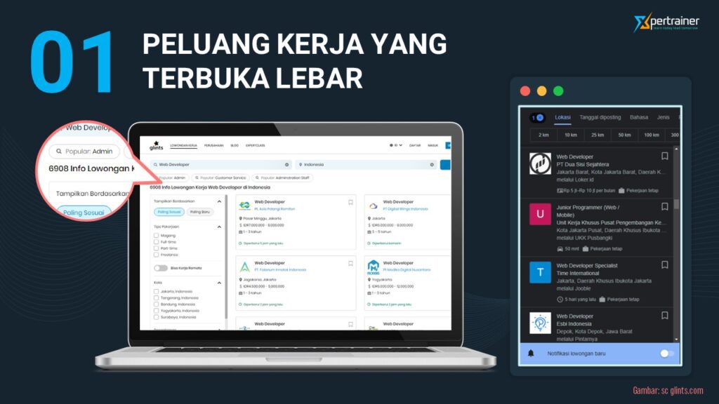 alasan menjadi web developer