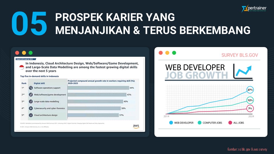 alasan menjadi web developer